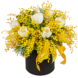 Mimosa - 4, Tulip white - 13, Round flower box small , Oasis, Film, Ribbon