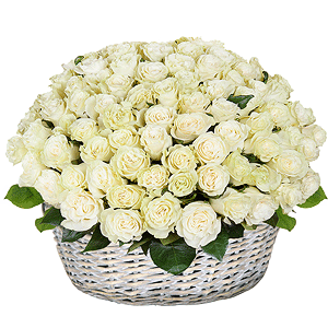 Basket of 101 white roses with delivery Ryazan