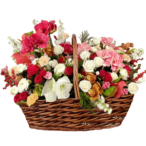 The Magnificent with delivery Ryazan