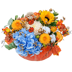 Bountyful with delivery Ryazan
