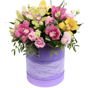 Arrangement of orchids in a hatbox with delivery Ryazan