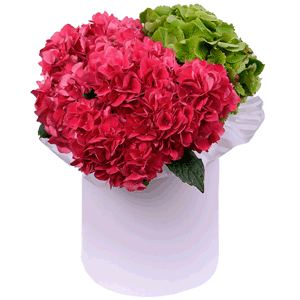 Strawberry souffle with delivery Ryazan