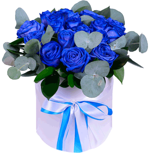 Arrangement of 17 blue roses in a hatbox with delivery Ryazan