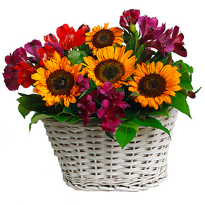 Sunflower - 5, Alstromeria lilac, purple - 6, Alstromeria Red, Bright Pink - 4, Salal, Oasis, Medium Basket