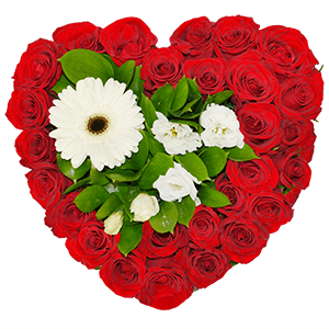Feast of love with delivery Ryazan