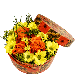 Sun Ray with delivery Ryazan