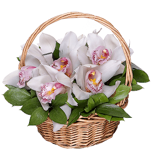 White Cymbidium Orchid Bud - 15, Ruscus, Oasis, Flask for orchids, Medium Basket