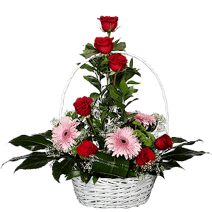 Refined Compliment with delivery Ryazan