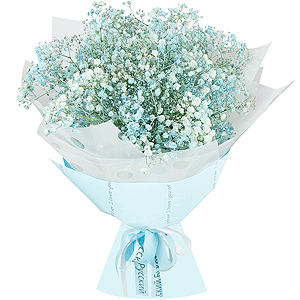 Colored gypsophila - 11, Wrapping Paper, Ribbon