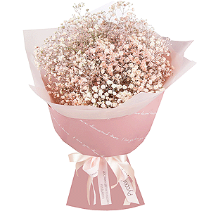 Colored gypsophila - 9, Wrapping Paper, Ribbon