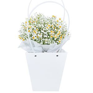 Gypsophila - 9, Chamomile - 6, Wrapping Paper, Flower bag