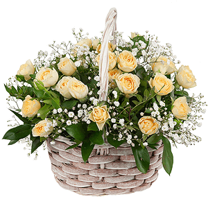Rose garden with delivery Ryazan