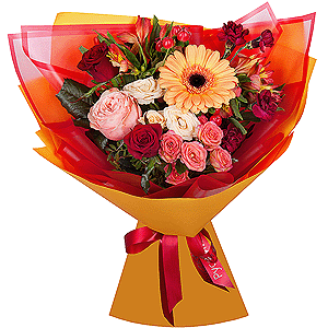 Gerbera daisies - 2, Carnation spray - 3, Spray rose: white, cream, light pink 50 cm - 1, Peony rose Kahala 50 cm - 1, Red rose 50 cm - 3, Alstromeria Yellow, Orange - 4, Bright pink spray rose mix, 50 cm - 2, Hypericum, Wrapping Paper