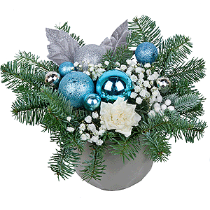Magic Winter with delivery Ryazan