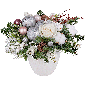 New Year's Miracle with delivery Ryazan