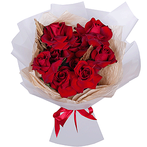 Rose Red 50 cm Ecuador - 11, Aspidistra (1 pc.), Wrapping Paper, Ribbon