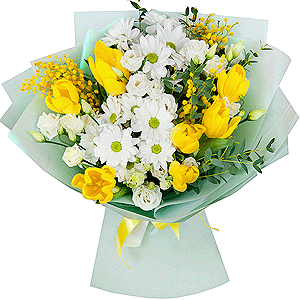 Bacardi White Spray Chrysanthemum - 3, lisianthus - 4, Yellow tulip - 13, Mimosa - 2, Eucalyptus parvifolia (1 pc.), Wrapping Paper