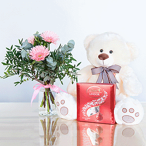 Gift set "Gerberas, teddy bear and sweets" with delivery Ryazan