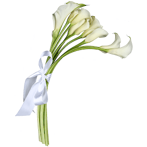 Amazing arum lilies with delivery Ryazan