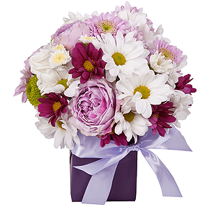 Athos poms Stallion - 2, Bacardi White Spray Chrysanthemum - 1, Spray peony rose Lavander, 50 cm - 1, Bacardi Pink Spray Chrysanthemum - 1, Baltica Pink Spray Chrysanthemum - 2, Oasis, Wrapping Paper, Ribbon