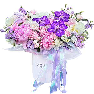 Alien beauty with delivery Ryazan
