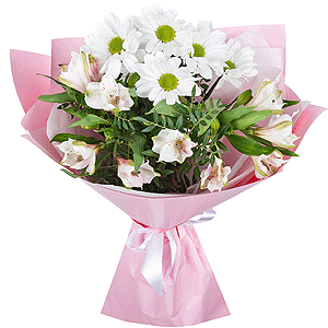 Tender dream with delivery Ryazan