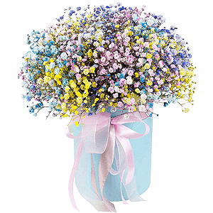 Sparkle of joy with delivery Ryazan