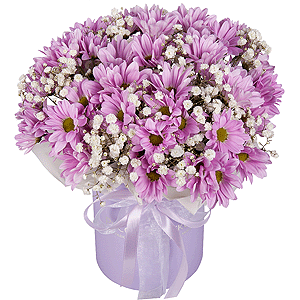 Lilac Dreams with delivery Ryazan