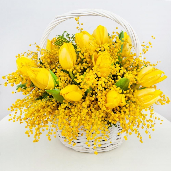 Yellow tulip - 21, Mimosa - 5, Oasis, Medium Basket