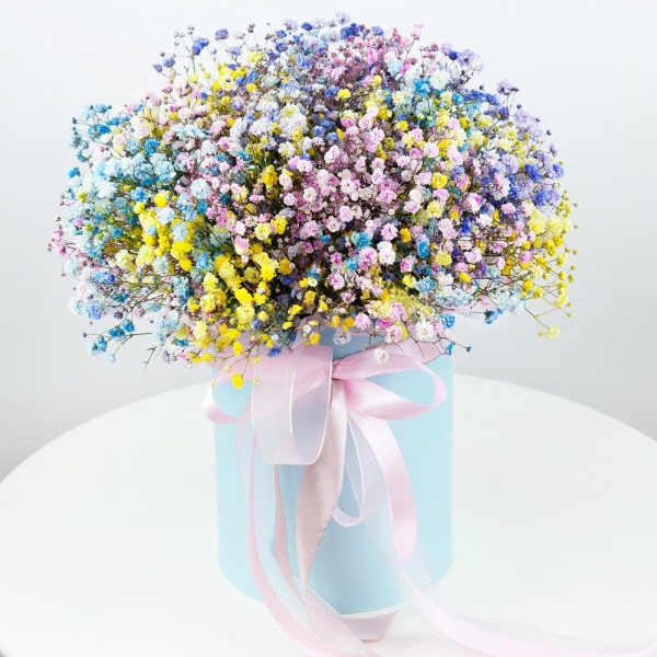 Colored gypsophila - 13, Round flower box small , Oasis, Ribbon