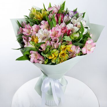 Alstroemerias - 15, Wrapping Paper, Ribbon