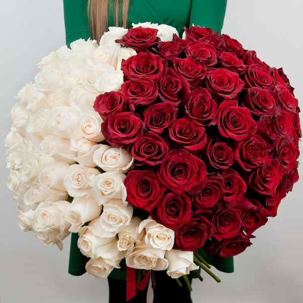 Red rose 50 cm - 80, White rose 50 cm - 81, Wrapping Paper