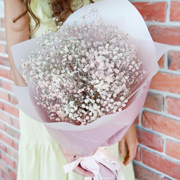 Colored gypsophila - 11, Wrapping Paper, Ribbon