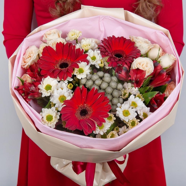 Gerbera red - 3, Santini White Spray Chrysanthemum - 4, Spray rose: white, cream, light pink 50 cm - 3, Alstromeria Red, Bright Pink - 3, Brunia Green Lanuginosa (1 pc.), Wrapping Paper, Ribbon