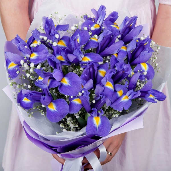 Irises - 17, Gypsophila - 2, Wrapping Paper