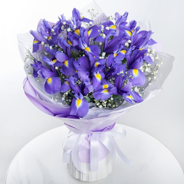 Irises - 17, Gypsophila - 2, Wrapping Paper