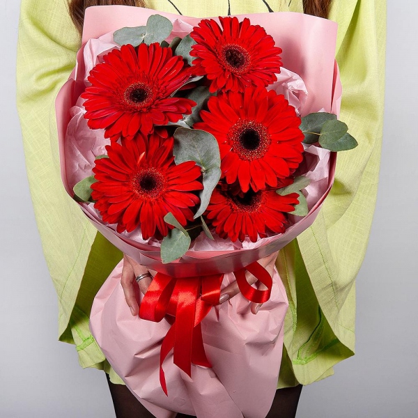 Gerbera red - 7, Eucalyptus, Wrapping Paper